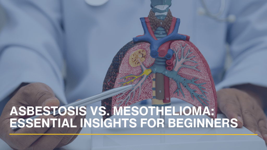 A doctor pointing to a detailed anatomical model of human lungs to explain respiratory disease.