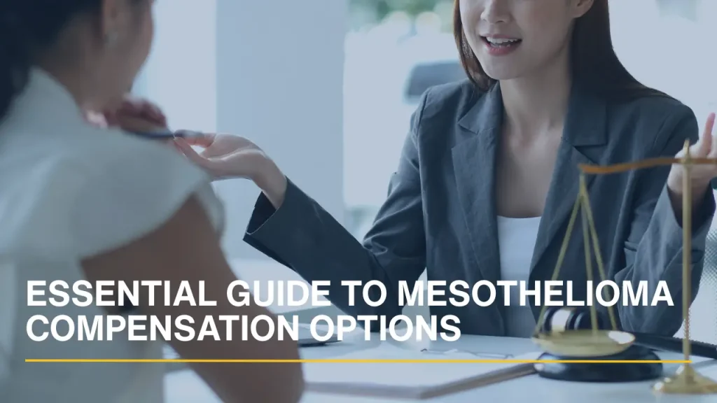 Lawyer explaining legal options to a client