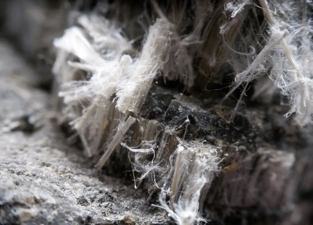 Health risks of asbestos exposure affecting the lungs and respiratory system