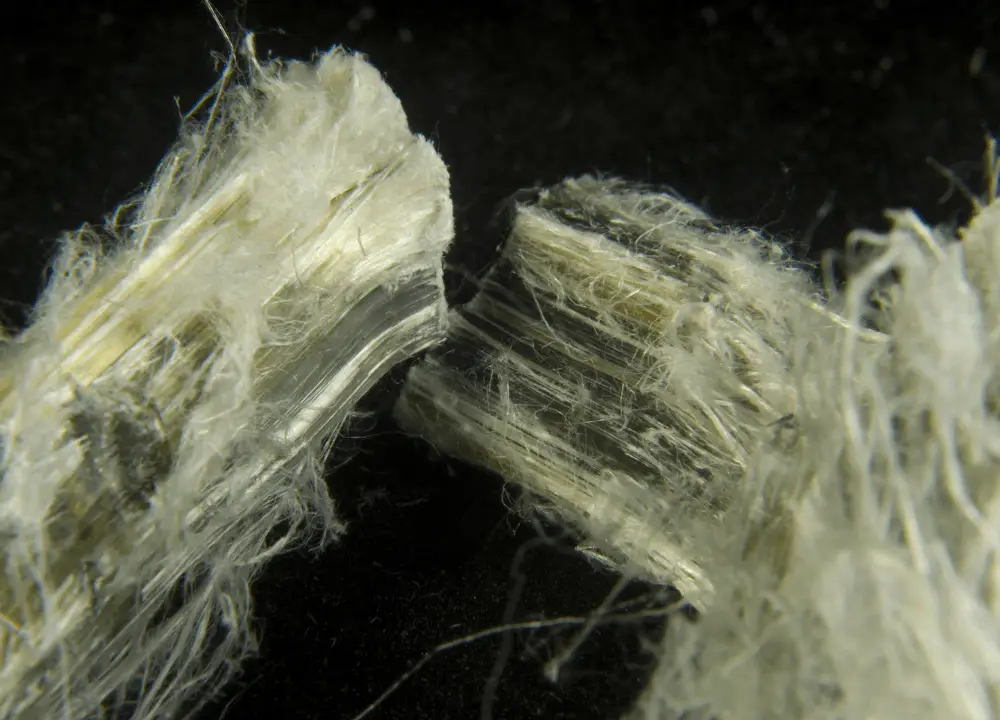 Shows what asbestos looks like — supports the biological explanation