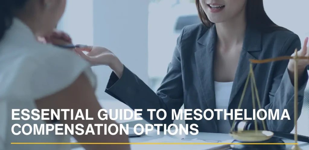 Lawyer explaining legal options to a client